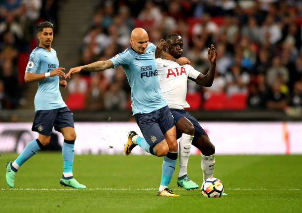 鸡袭击滑雪 鸡袭击滑雪